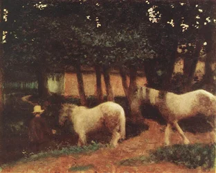 Ambiente vespertino con caballos